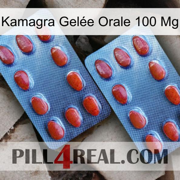 Kamagra Gelée Orale 100 Mg 05